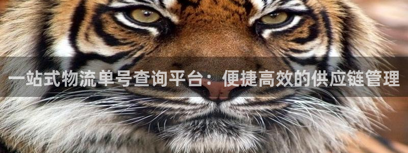 ,优游国际预测加拿大：一站式物流单号