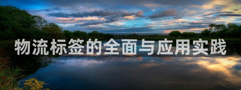 ,优游国际如何退款：物流标签的全面与