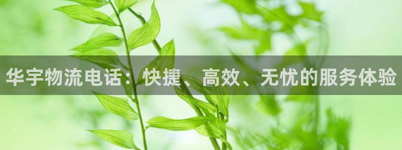 ,优游国际网站平台