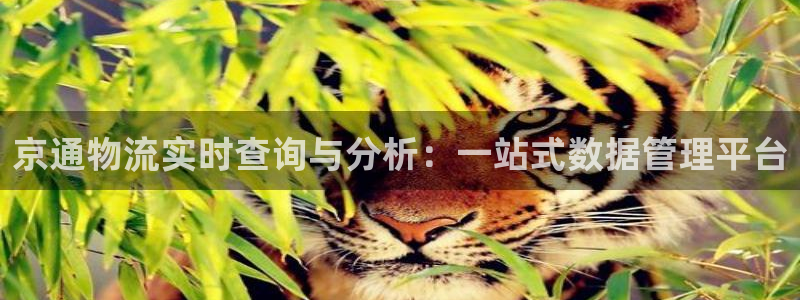 ,优游国际怎么下载教程