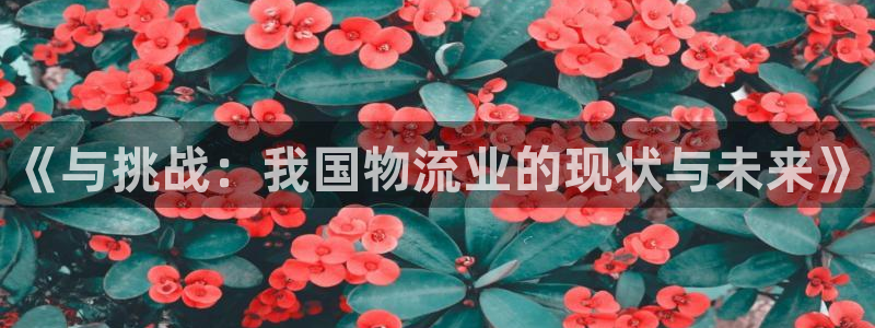 ,优游国际返水怎么算的