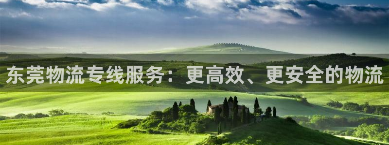 ,优游国际aPP退款：东莞物流专线服