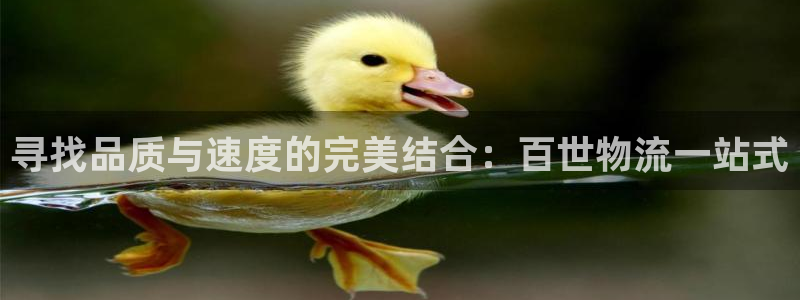 ,优游国际怎么下载不了：寻找品质与速