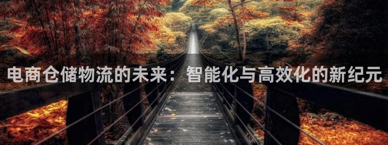 ,优游国际官方平台：电商仓储物流的未