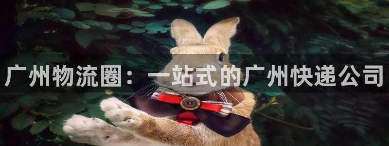 ,优游国际最稳打法：广州物流圈：一站