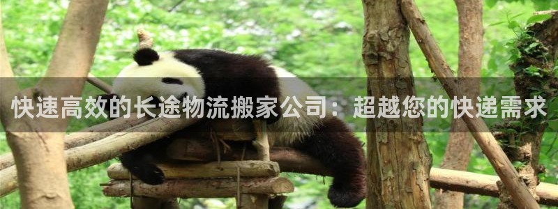 ,优游国际电子游戏：快速高效的长途物
