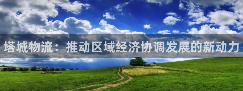 ,优游国际注册网页版：塔城物流：推动