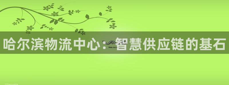 优游国际官网入口pc29官网版下载：