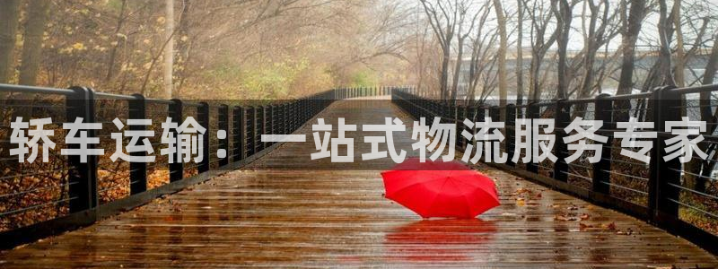 ,优游国际合法吗：轿车运输：一站式物