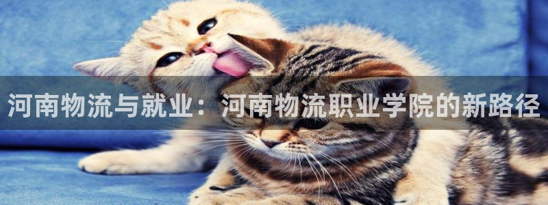 ,优游国际退款教程：河南物流与就业：