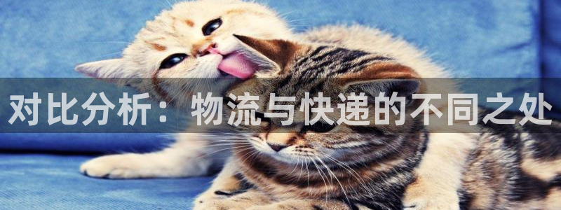 ,优游国际选28ng官网：对比分析：