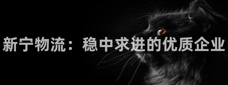 ,优游国际初始资金密码在哪里改：新宁