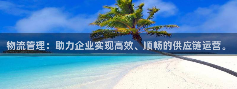 ,优游国际起来的符号：物流管理：助力