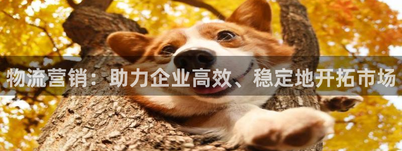 ,优游国际反水：物流营销：助力企业高效、稳定地开拓市场