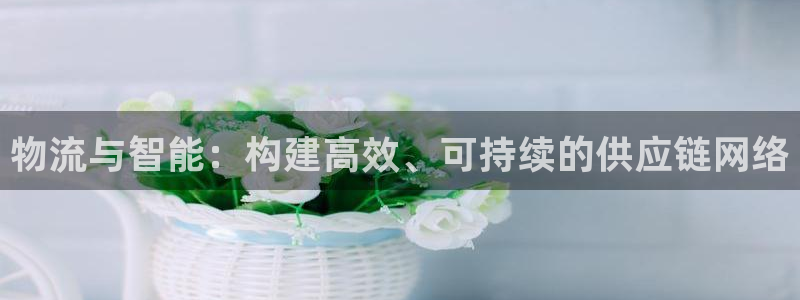 ,优游国际h5链接：物流与智能：构建