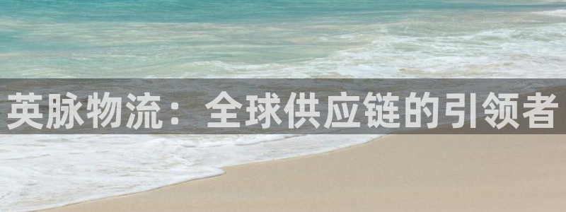 ,优游国际游戏最新版：英脉物流：全球