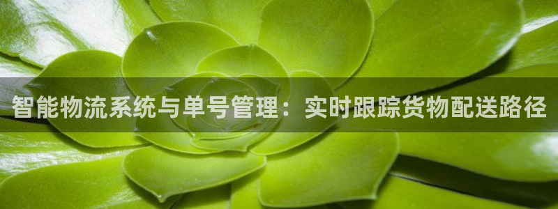 ,优游国际pc预测：智能物流系统与单
