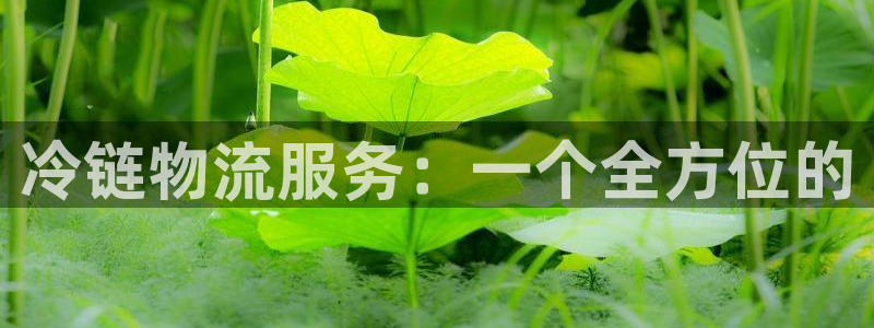 ,优游国际官方平台:冷链物流服务:一