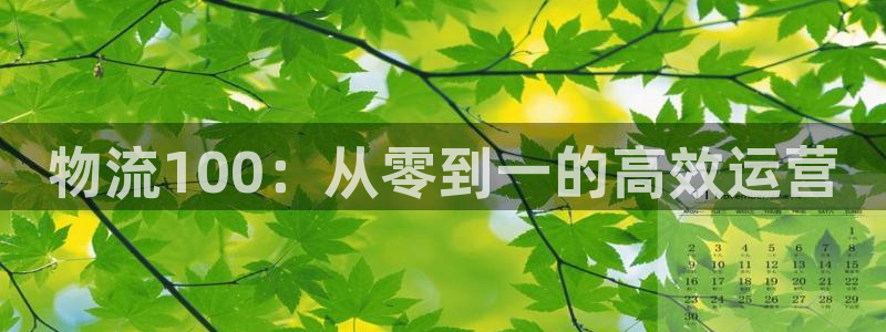 ,优游国际模拟器在线玩:物流100: