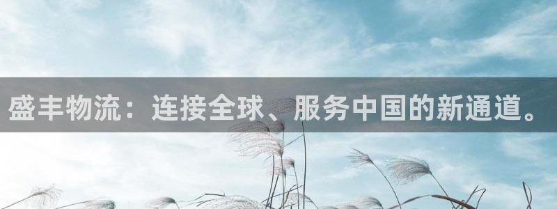 ,优游国际网赌有什么风险:盛丰物流: