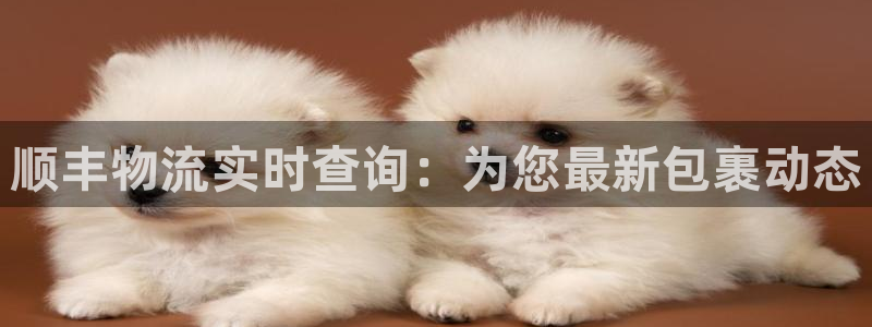 ,优游国际推广链接是多少粉丝：顺丰物流实时查询：为您最新包裹