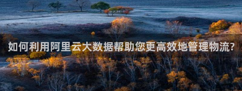 优游国际官网入口南宫