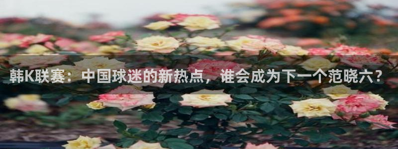 龙门直播足球：韩K联赛：中国球迷的新热点，谁会成为下一个范晓六？