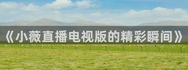 看球直播龙门直播：《小薇直播电视版的精彩瞬间》