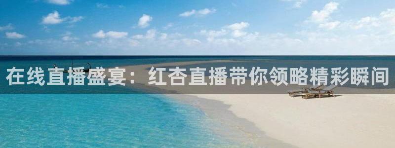龙门飞甲超清在线播放：在线直播盛宴：红杏直播带你领略精彩瞬间