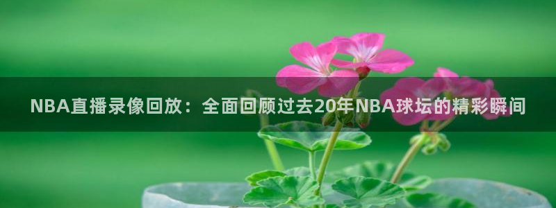 龙门直播nba免费直播入口：NBA直播录像回放：全面回顾过去20年NBA球坛的精彩瞬间