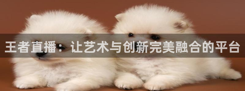 龙门直播体育：王者直播：让艺术与创新完美融合的平台
