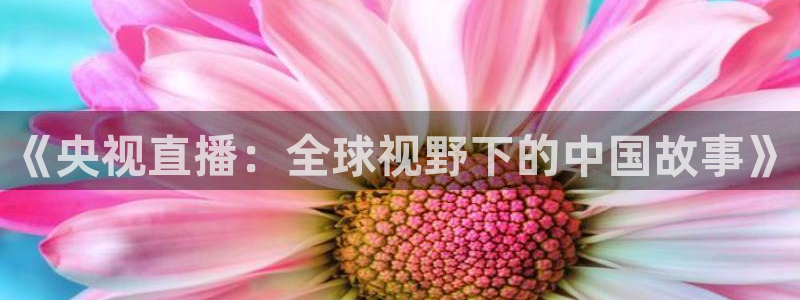 龙门令1至100集免费观看：《央视直播：全球视野下的中国故事》
