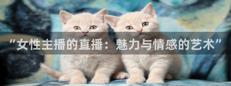 龙门体育直播在线观看：“女性主播的直播：魅力与情感的艺术”