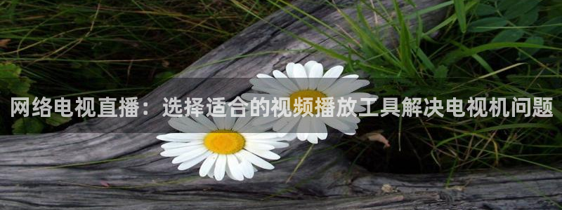 龙门nba免费直播：网络电视直播：选择适合的视频播放工具解决电视机问题