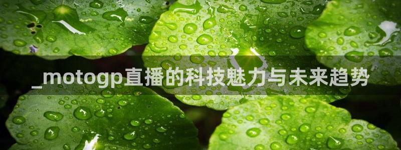 龙门镖局1.5在线观看免费完整版：_motogp直播的科技魅力与未来趋势